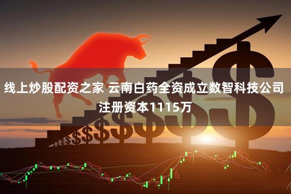线上炒股配资之家 云南白药全资成立数智科技公司 注册资本1115万