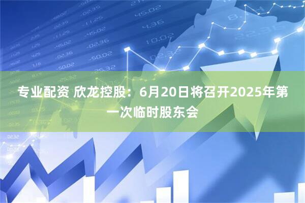 专业配资 欣龙控股：6月20日将召开2025年第一次临时股东会